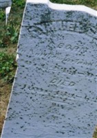 Samuel Geist
