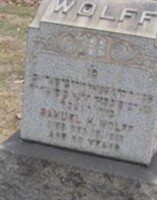 Samuel H Wolff