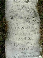 Samuel Haddock