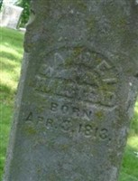 Samuel Halstead Samuel Halstead