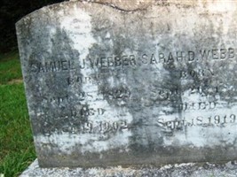 Samuel J Webber