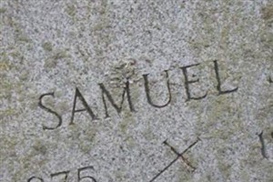 Samuel J Webster