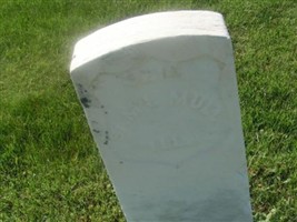 Samuel Mull Samuel Mull