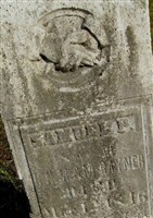 Samuel P. Rayner Samuel P. Rayner