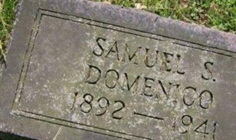 Samuel S. Domenico Samuel S. Domenico