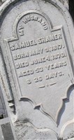 Samuel Shaner