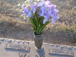 Samuel W. Waddle Samuel W. Waddle