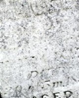 Samuel Whicker