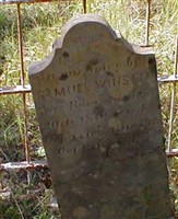 Samuel Winstead, V