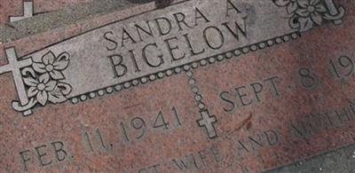 Sandra Ann Bigelow Sandra Ann Bigelow