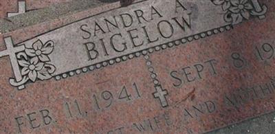 Sandra Ann Bigelow