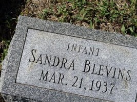 Sandra Blevins