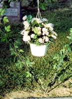 Sandra D Bennett Hudson