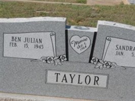 Sandra Gail Taylor