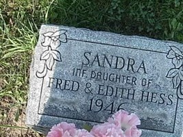Sandra Hess