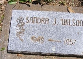 Sandra J Wilson