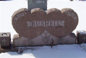 Sandra L Bushell