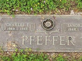 Sandra L Pfeffer