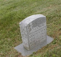 Sandra Lyn Comer