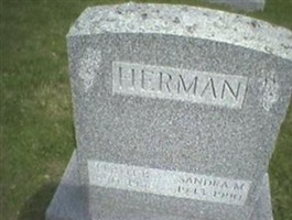 Sandra M. Herman