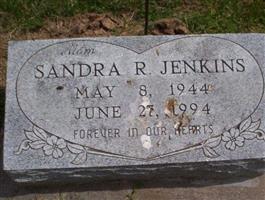 Sandra R. Jenkins (2026049.jpg)