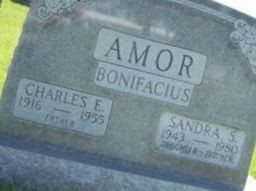 Sandra S. (Amor) Bonifacius