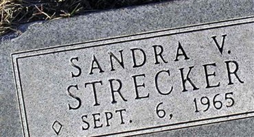Sandra V. Strecker Sandra V. Strecker