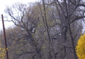 Sandy Branch Cemetery