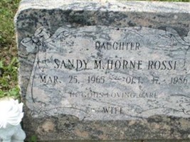 Sandy M Horne Rossi Sandy M Horne Rossi