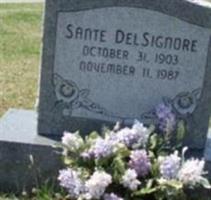 Sante Sandy Delsignore