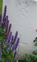 Sapper J T Dougall Sapper J T Dougall