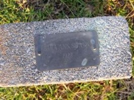 Sara Ann Swann
