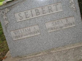 Sara B Seibert