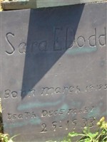 Sara E Dodd Sara E Dodd