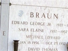 Sara Elaine Braun