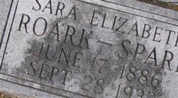 Sara Elizabeth Johnson Sparr