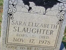 Sara Elizabeth Slaughter