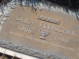 Sara Fleischer Sara Fleischer
