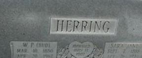 Sara Jane Hatcher Herring Sara Jane Hatcher Herring