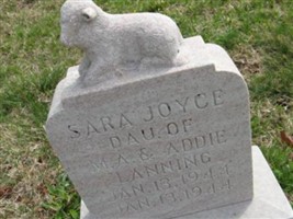 Sara Joyce Lanning Sara Joyce Lanning