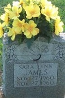 Sara Lynn James Sara Lynn James