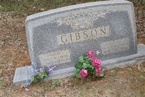 Sara V Gibson Sara V Gibson
