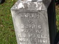 Saraah Jane Burris Magee Saraah Jane Burris Magee