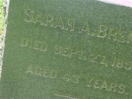 Sarah A Brent Sarah A Brent