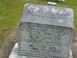 Sarah A. Butts Pickett