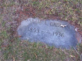 Sarah A Cadman Sarah A Cadman
