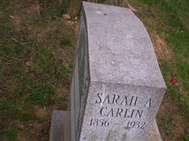 Sarah A Carlin