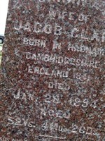 Sarah A Clark