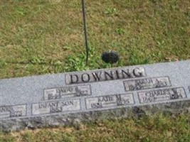 Sarah A. Downing Sarah A. Downing