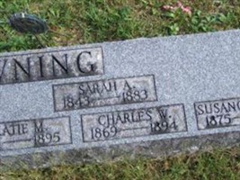 Sarah A. Downing Sarah A. Downing